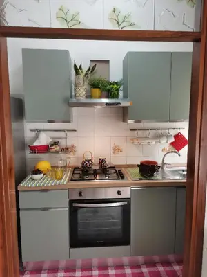 Cucina o angolo cottura di Viale VSM 108