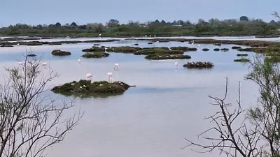 Paesaggio naturale nelle vicinanze della casa vacanze