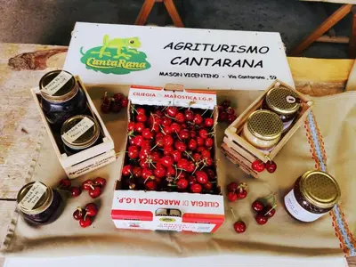 Cibo presso l'appartamento o nelle vicinanze