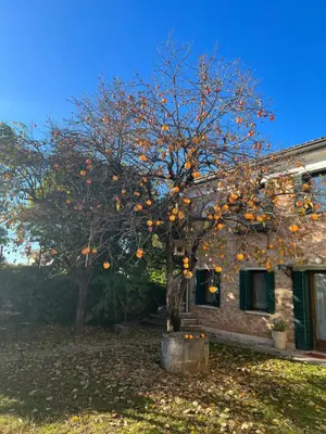 Edificio in cui si trova l'appartamento
