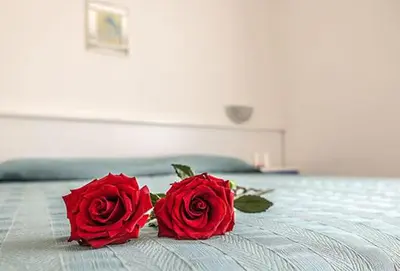 Letto o letti in una camera di Hotel Fortuna