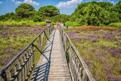 Paesaggio naturale nelle vicinanze dell'appartamento