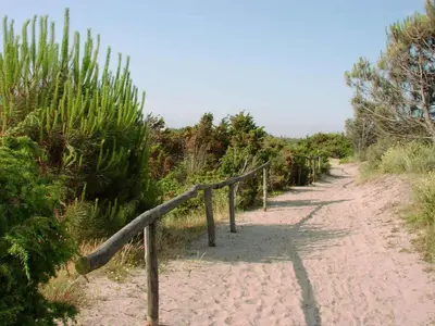 Paesaggio naturale nelle vicinanze dell'appartamento