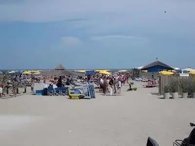 Spiaggia vicina o nei dintorni dell'appartamento