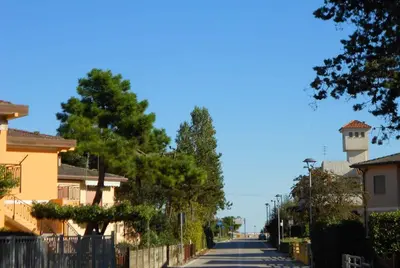 Il quartiere o una zona nella vicinanze dell'appartamento