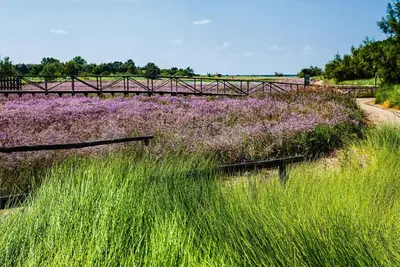 Paesaggio naturale nelle vicinanze dell'appartamento