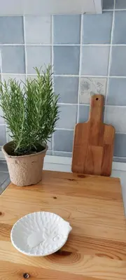 Planimetria di Appartamenti Le Conchiglie Sottomarina
