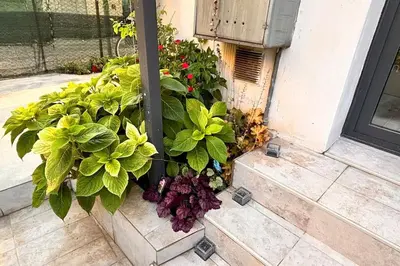 Giardino di Casa Semi 整套公寓