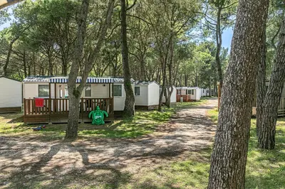 Giardino di Albatross Mobile Homes on Camping Ca'Savio