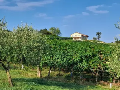 Paesaggio naturale nelle vicinanze dell'appartamento