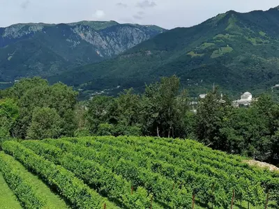 Paesaggio naturale nelle vicinanze dell'appartamento