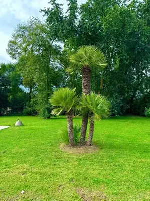 Giardino di Venetian Hideaway - Villa Maria