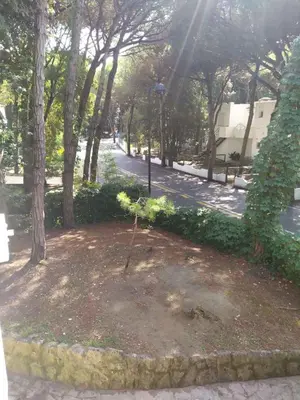 Giardino di Holiday home in Rosolina Mare 25059