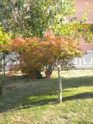 Giardino di Civico 493 B'n'B