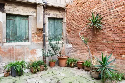 Giardino di Gorgeous Apartment in the Heart of Venice