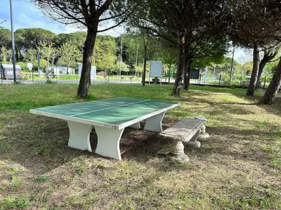Attrezzature per ping pong presso White House o nelle vicinanze