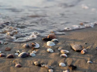Paesaggio naturale nelle vicinanze dell'appartamento