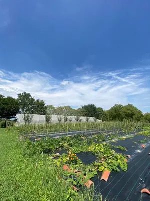 Giardino di Camping Biologico La Buona Terra