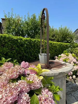 Giardino di Villa Colombella