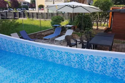 Piscina di Home Puppy o nelle vicinanze