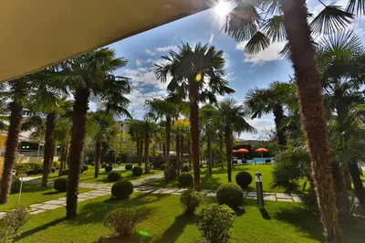 Giardino di Hotel Savoia Thermae & SPA