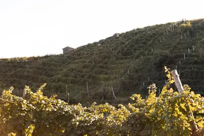 Paesaggio naturale nelle vicinanze della casa vacanze