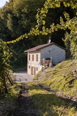 Paesaggio naturale nelle vicinanze della casa vacanze