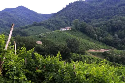 Paesaggio naturale nelle vicinanze del bed & breakfast