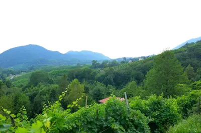 Paesaggio naturale nelle vicinanze del bed & breakfast