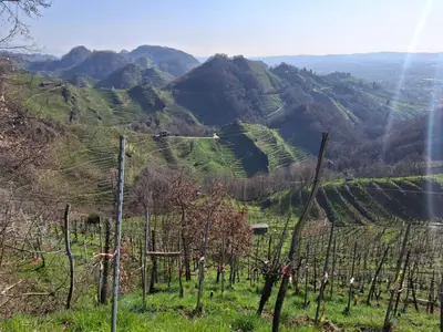 Paesaggio naturale nelle vicinanze dell'appartamento