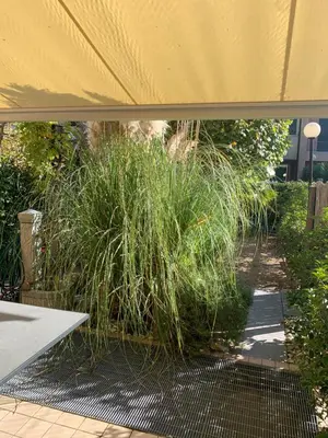 Giardino di La Casa al Mare di Rossella