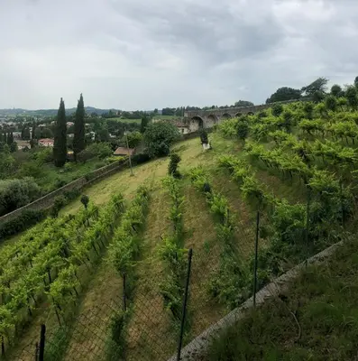 Paesaggio naturale nelle vicinanze dell'affittacamere