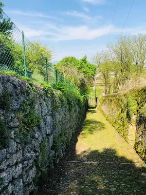 Giardino di Camera luminosa per viaggiatori