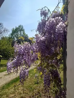Giardino di Montello Hill apartment