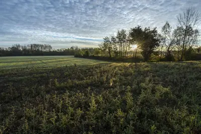Paesaggio naturale nelle vicinanze del bed & breakfast