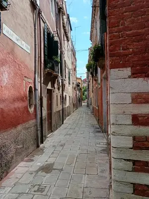 Il quartiere o una zona nella vicinanze dell'appartamento