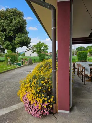 Giardino di Casa Loretta