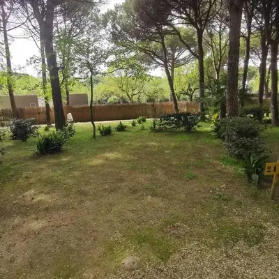 Camping Valdor Camper & Pitch