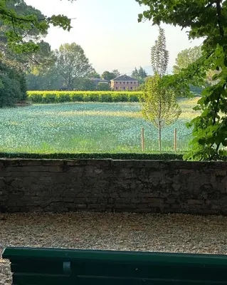Giardino di Barchessa di Villa Tiepolo Passi