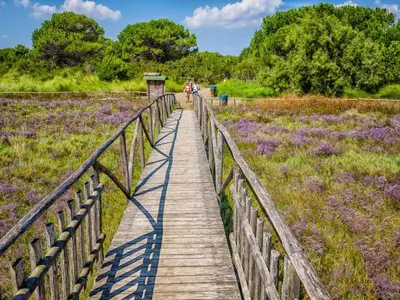 Paesaggio naturale nelle vicinanze della casa vacanze