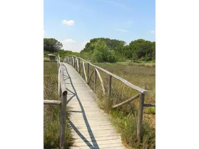 Paesaggio naturale nelle vicinanze della casa vacanze