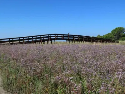 Paesaggio naturale nelle vicinanze della casa vacanze