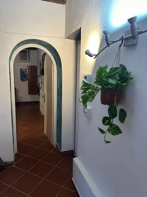 Planimetria di Venus apartment