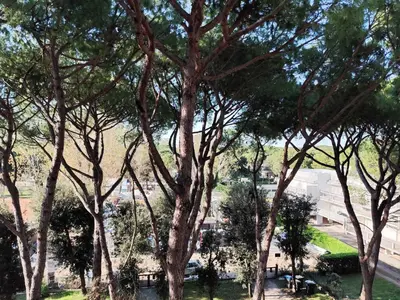 Giardino di Apartment in Lido di Jesolo 50789