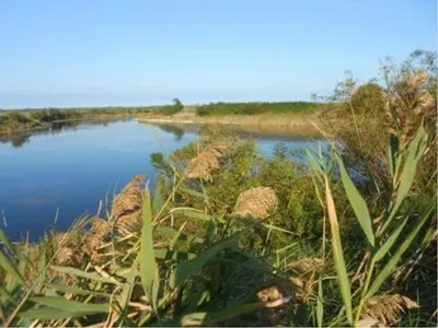 Paesaggio naturale nelle vicinanze dell'appartamento