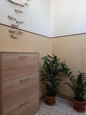 Planimetria di CA'pPERINI