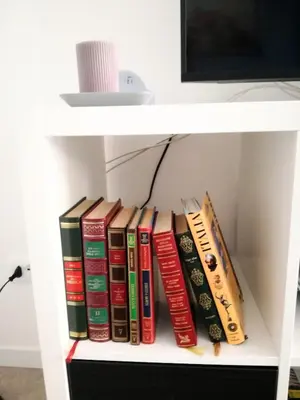 Biblioteca nell'appartamento
