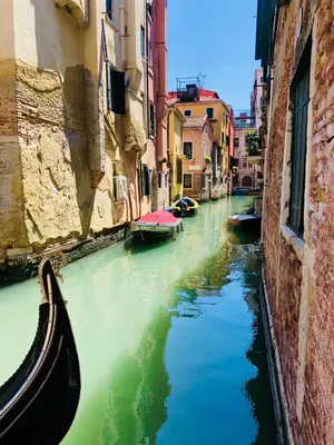 Vista sul fiume nelle vicinanze dell'appartamento