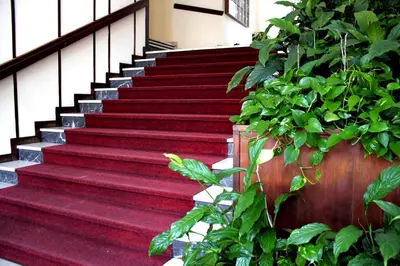 Planimetria di Casa Camilla City