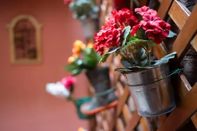Planimetria di Valentina's Home